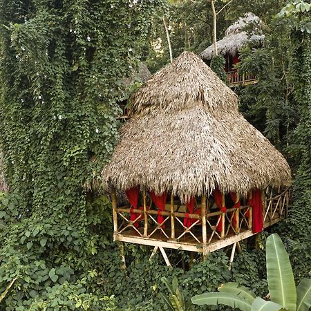 Dominican Tree House Village El Valle 外观 照片