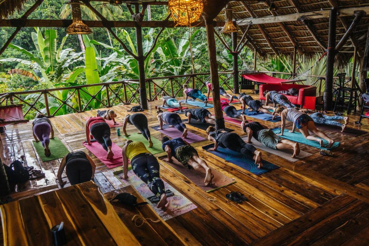 Dominican Tree House Village El Valle 外观 照片