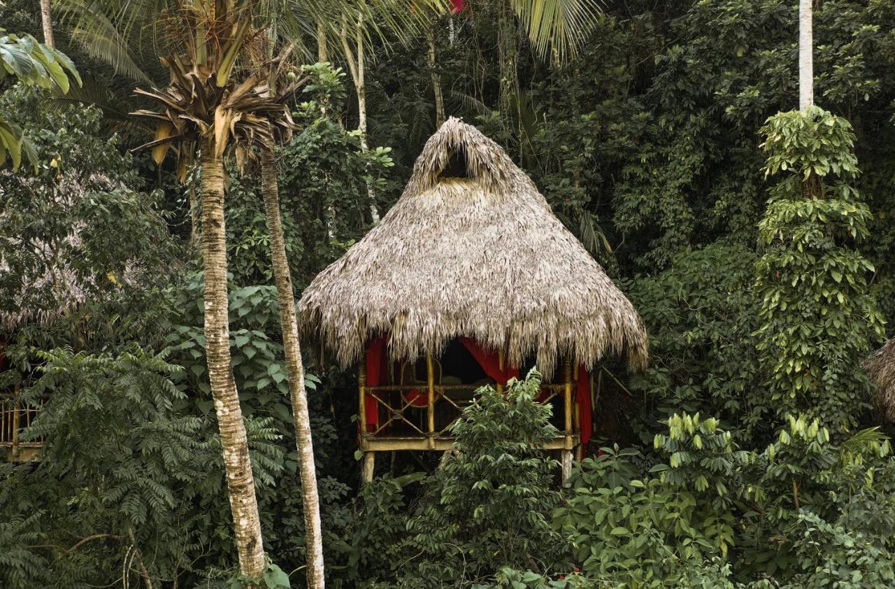Dominican Tree House Village El Valle 外观 照片